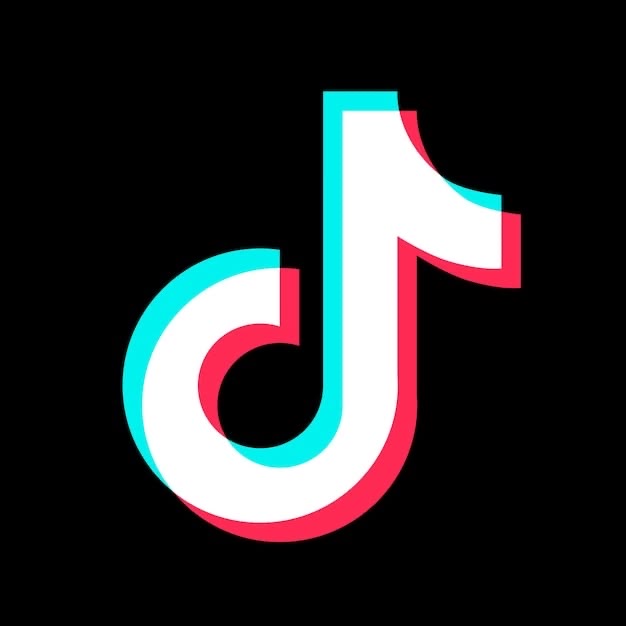 GERMANY π©πͺ TikTok 100+ Followers